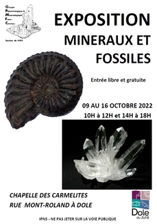 Exposition minéraux et fossiles