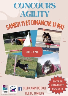 Concours Agility