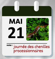 Journée des chenilles processionnaires
