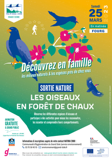 Oiseaux de la forêt de Chaux