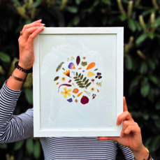 Atelier créatif : créer un herbier