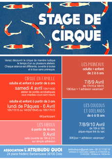 Stages de cirque