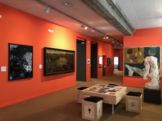 Visite guidée des collections - L'Art et la liberté d'expression