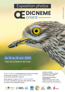 Un oiseau mystérieux aux portes de Dole !