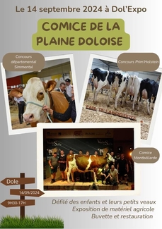 Concours et défilés de bovins