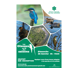 Les oiseaux au fil des saisons
