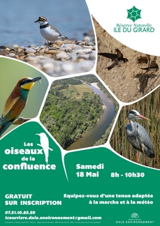 Les oiseaux de la confluence