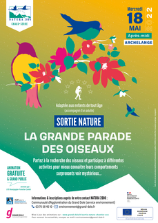 La Grande parade des Oiseaux