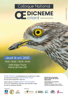 Colloque national sur l'Œdicnème criard