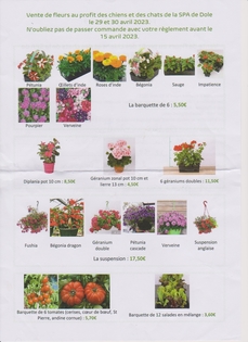 FETE DES FLEURS