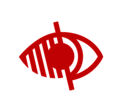 Journée nationale du handicap visuel