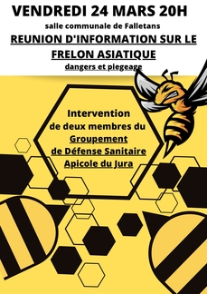 Réunion sur les dangers du frelon asiatique