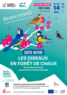 Sortie nature : Les oiseaux en Forêt de Chaux