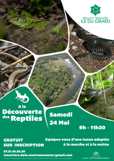 Découverte des reptiles