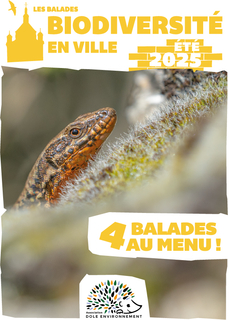 Biodiversité en ville - L'esquissée