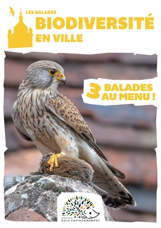 Les balades biodiversité en ville : L'Aériene