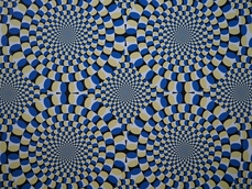 Atelier Illusions d'optique