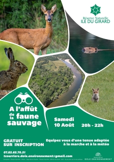 A l'affût de la faune sauvage