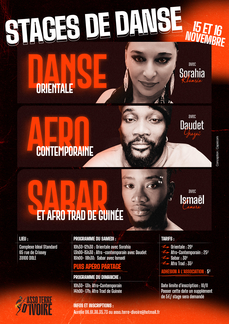 Stages de danse