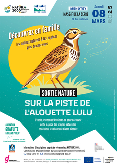 Sur la Piste de l'Alouette lulu et autres oiseaux