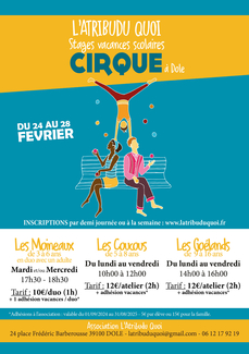 Stages de cirque