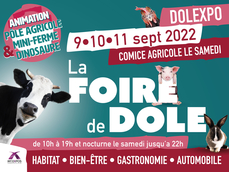 Foire de Dole - Edition 8