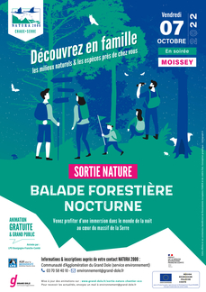Balade Forestière Nocturne
