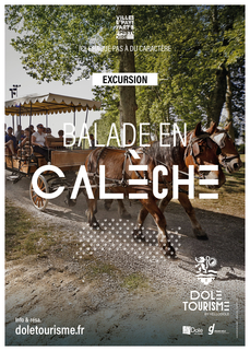 Balades en calèche