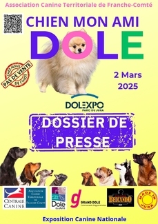 Chien mon ami