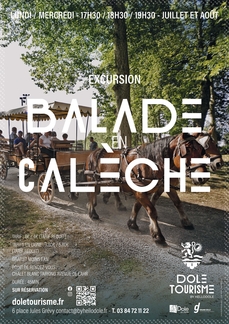 Balade en calèche