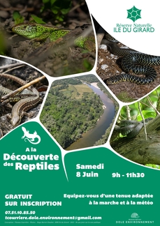 Découverte des reptiles