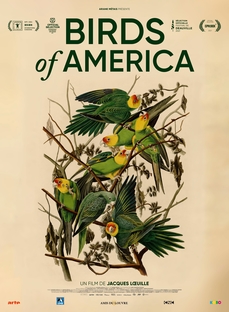 SOIRÉE SPÉCIALE - BIRDS OF AMERICA