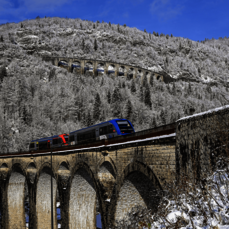 Excursion sur la Ligne des Hirondelles Hiver 2025