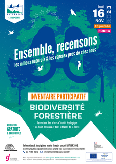 Inventaire participatif arbres d'intéret biologique