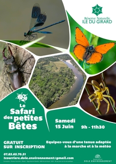 Safari des petites bêtes