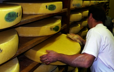 Les secrets des fromages du massif jurassien