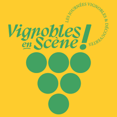 Visite Patrimoine & Vin - Vignoble en scène