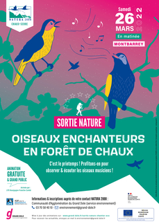 Oiseaux enchanteurs en forêt de Chaux