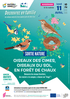 Sortie nature : Oiseaux des cimes, oiseaux du sol, en forêt de Chaux