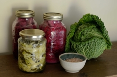 Atelier " Fascinantes fermentations"
