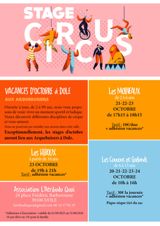 Stages de cirque