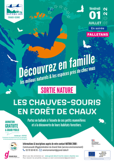 Les chauves-souris en forêt de Chaux