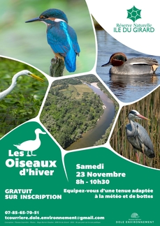 Les oiseaux d'hiver