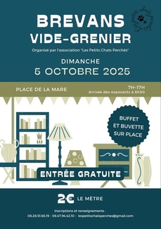 Vide-grenier de Brevans