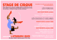 Stages de cirque