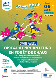 Sortie nature : Oiseaux enchanteurs en Forêt de Chaux