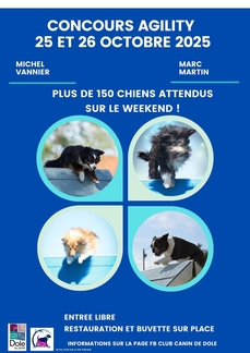 CONCOURS AGILITY