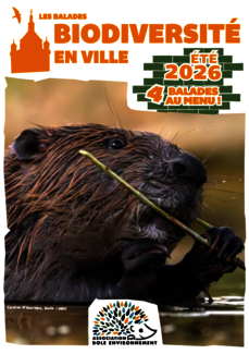 Biodiversité en ville - la Nocturne
