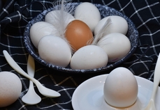 Atelier L'oeuf dans tous ses états. Nouveau !