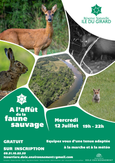 A l'affût de la faune sauvage